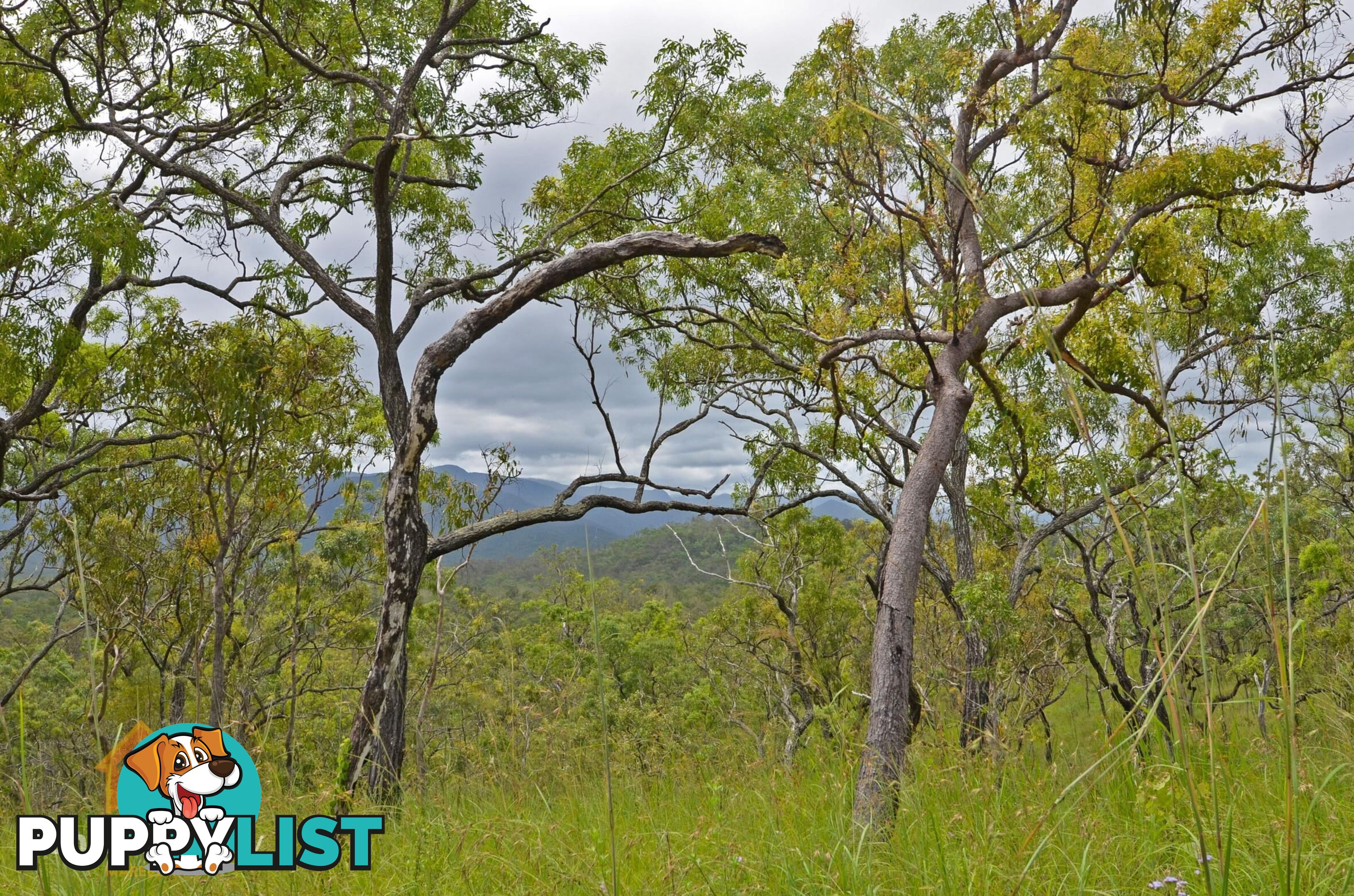 103 3609 Mulligan Highway Mount Molloy QLD 4871