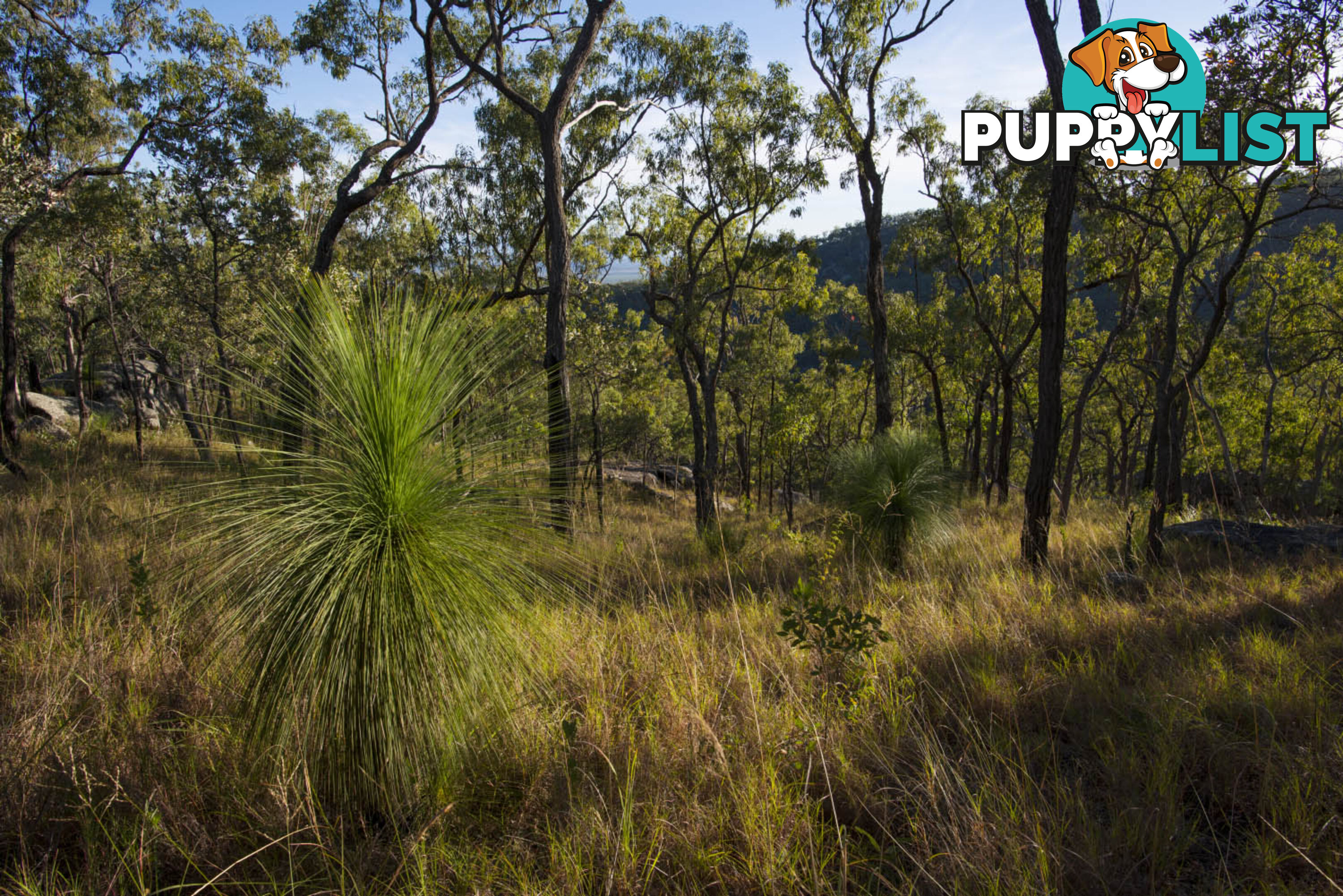 7 Emerald Falls Road Mareeba QLD 4880