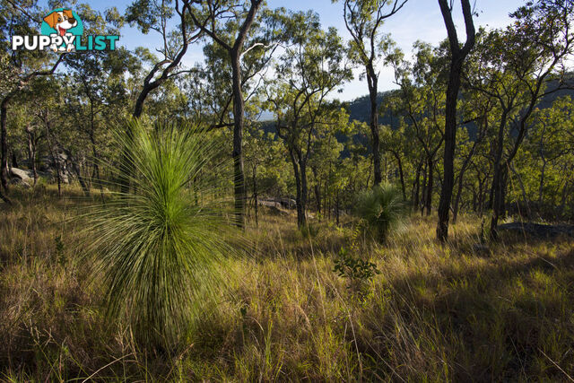 7 Emerald Falls Road Mareeba QLD 4880