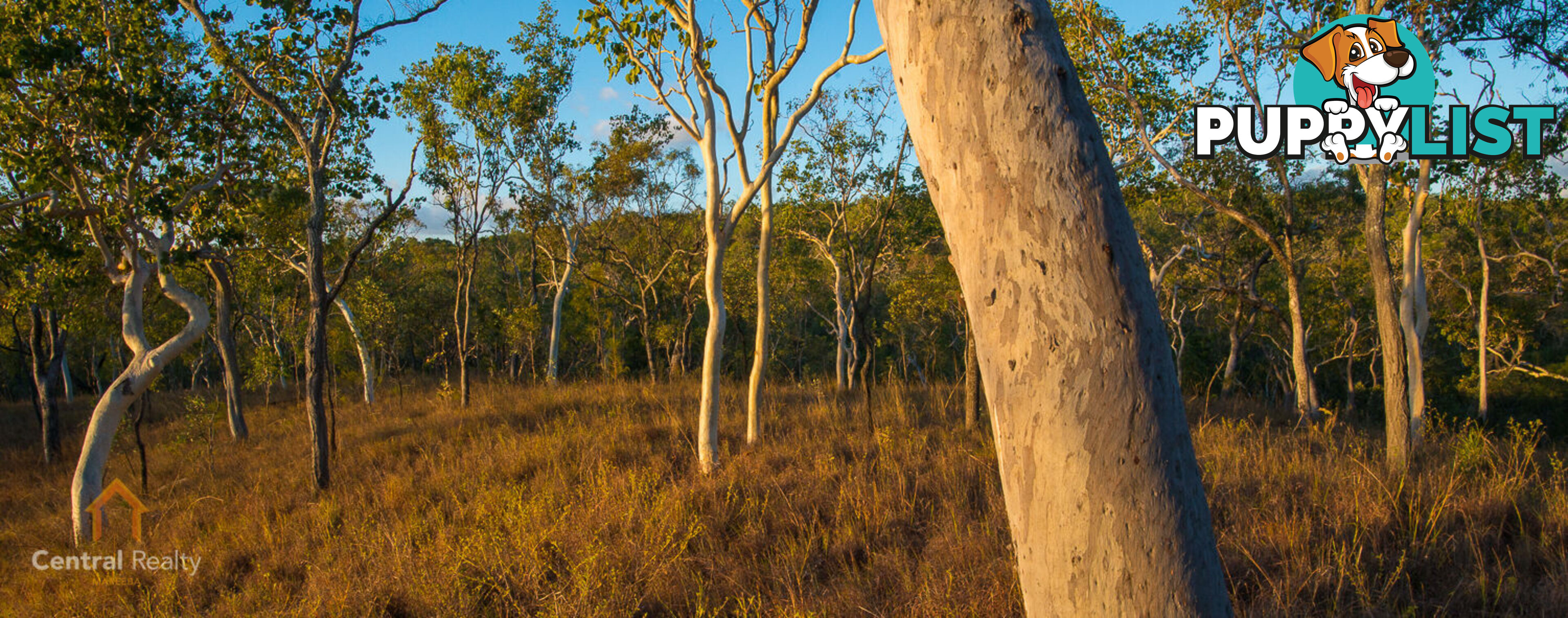 7 Emerald Falls Road Mareeba QLD 4880