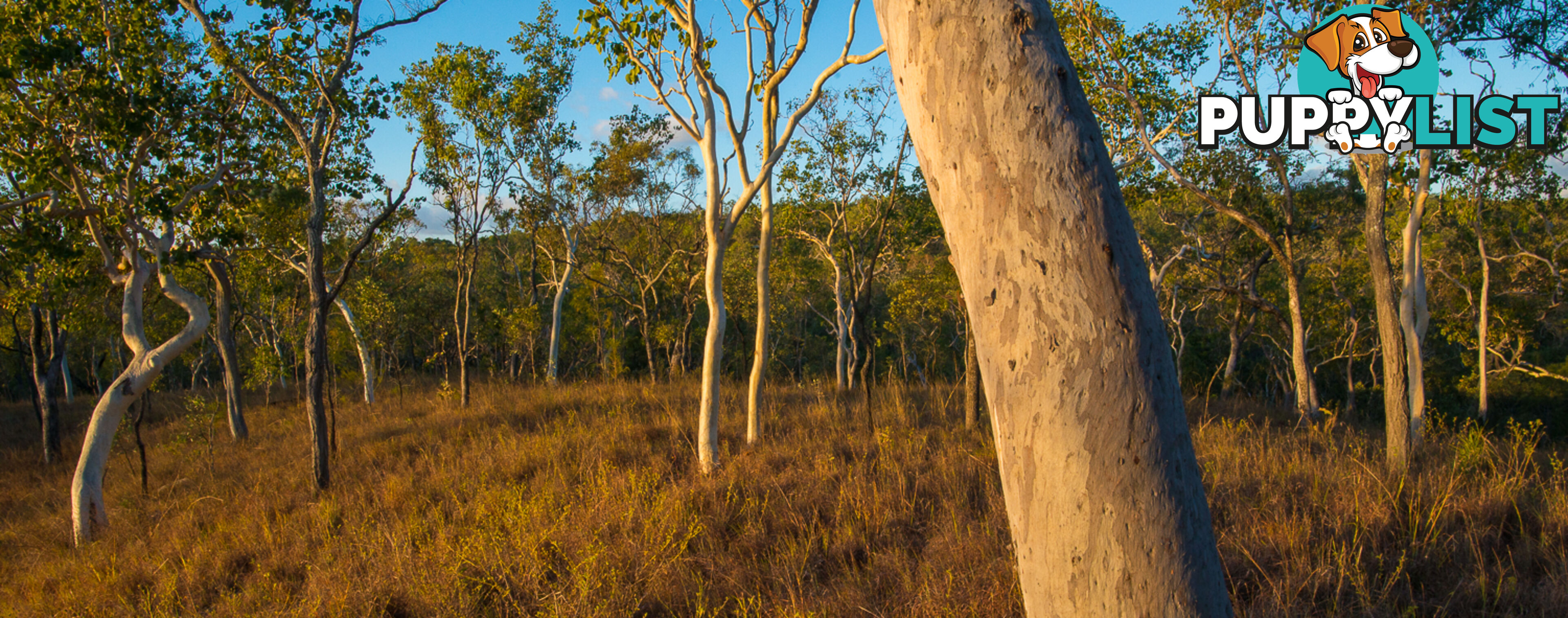 7 Emerald Falls Road Mareeba QLD 4880