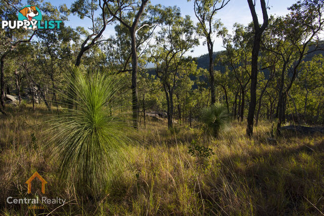 7 Emerald Falls Road Mareeba QLD 4880