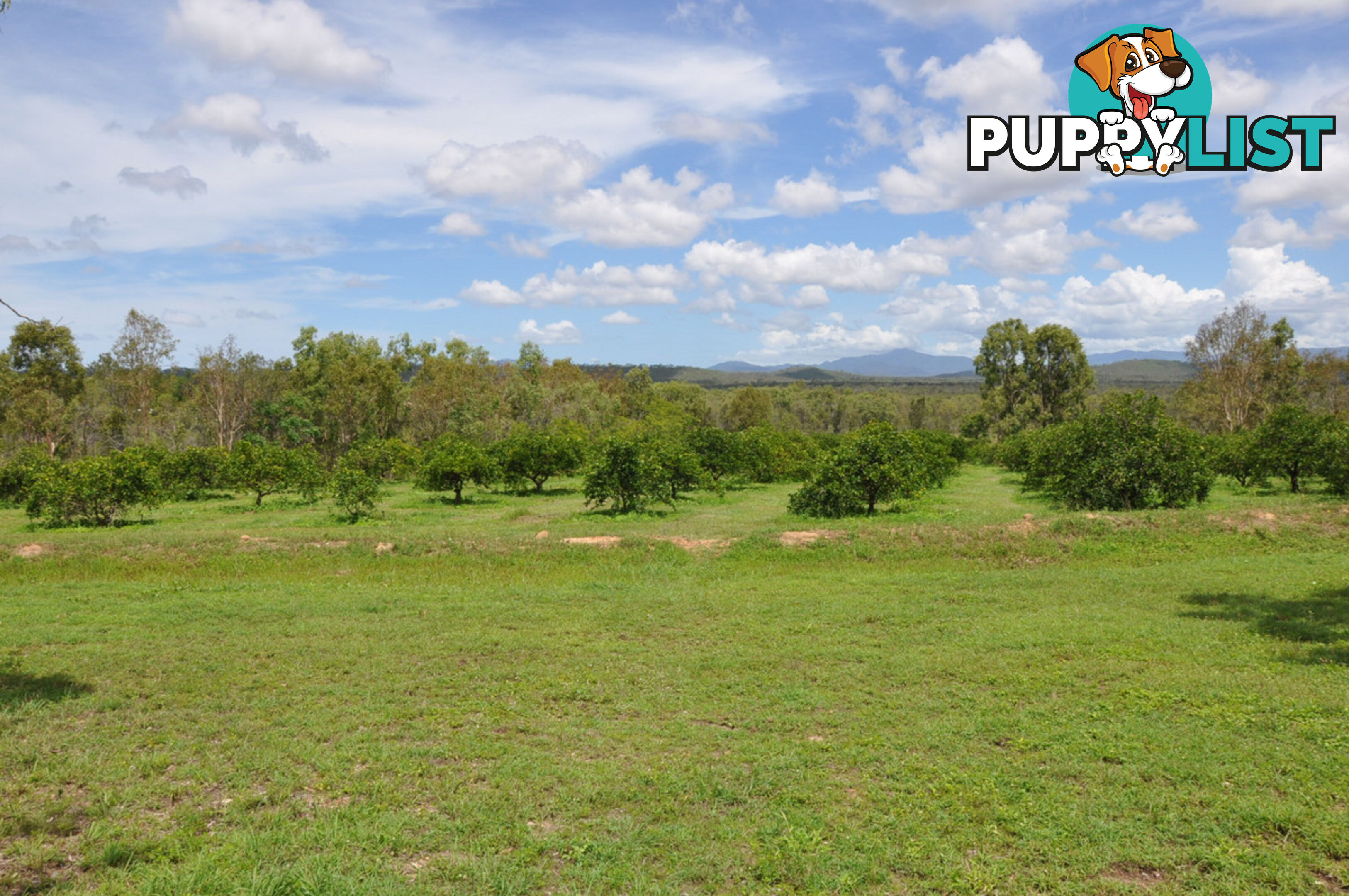 492 Bilwon Road Biboohra QLD 4880