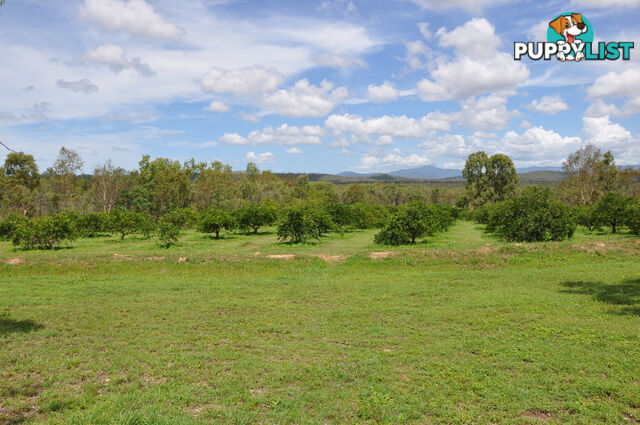 492 Bilwon Road Biboohra QLD 4880