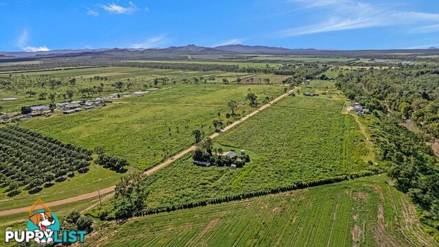 32 Davenport Road Dimbulah QLD 4872