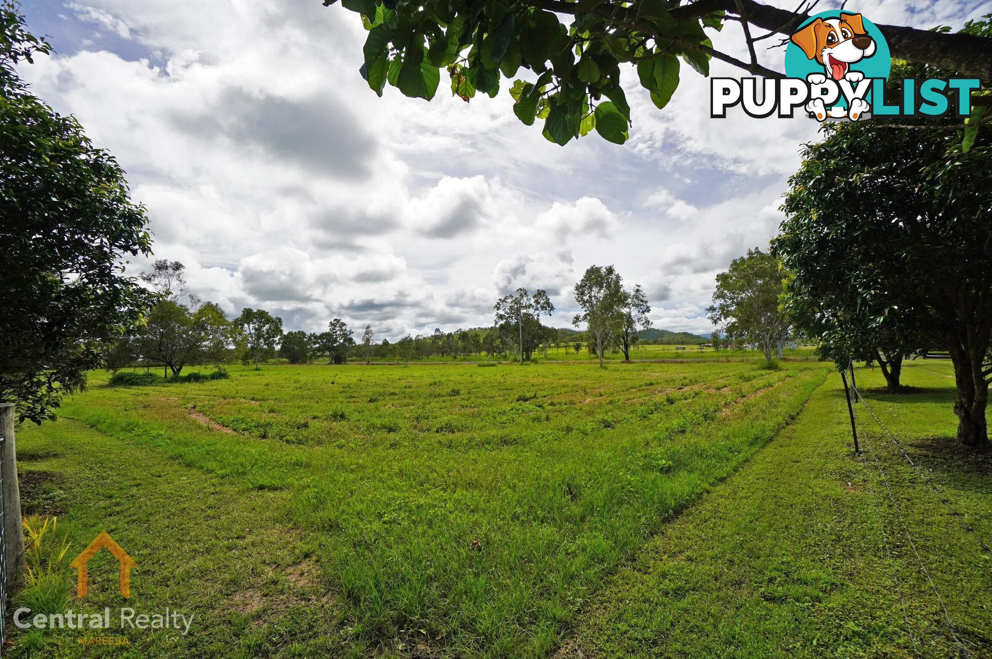 3038 Mareeba - Dimbulah Road Mutchilba QLD 4872