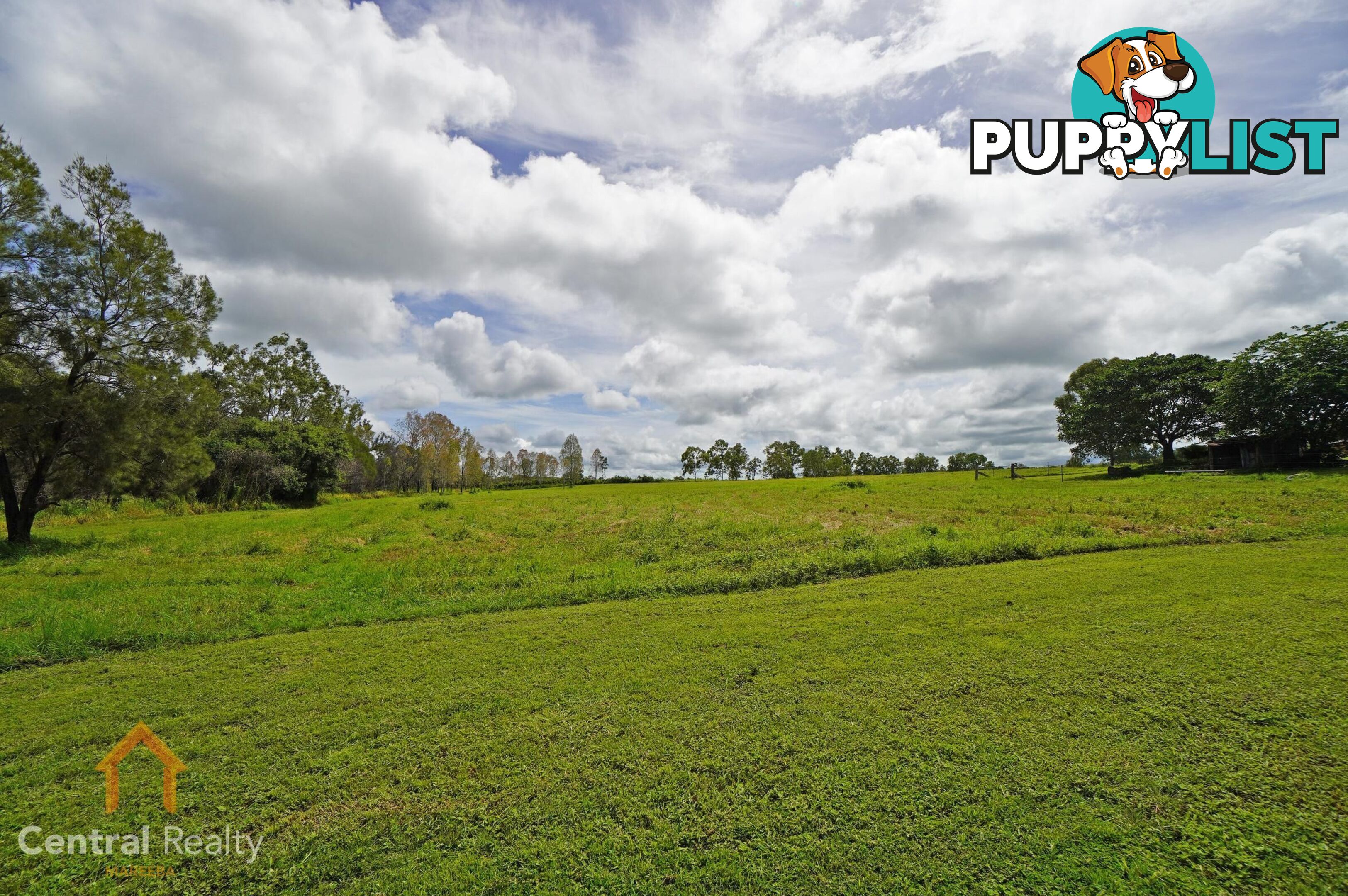 3038 Mareeba - Dimbulah Road Mutchilba QLD 4872