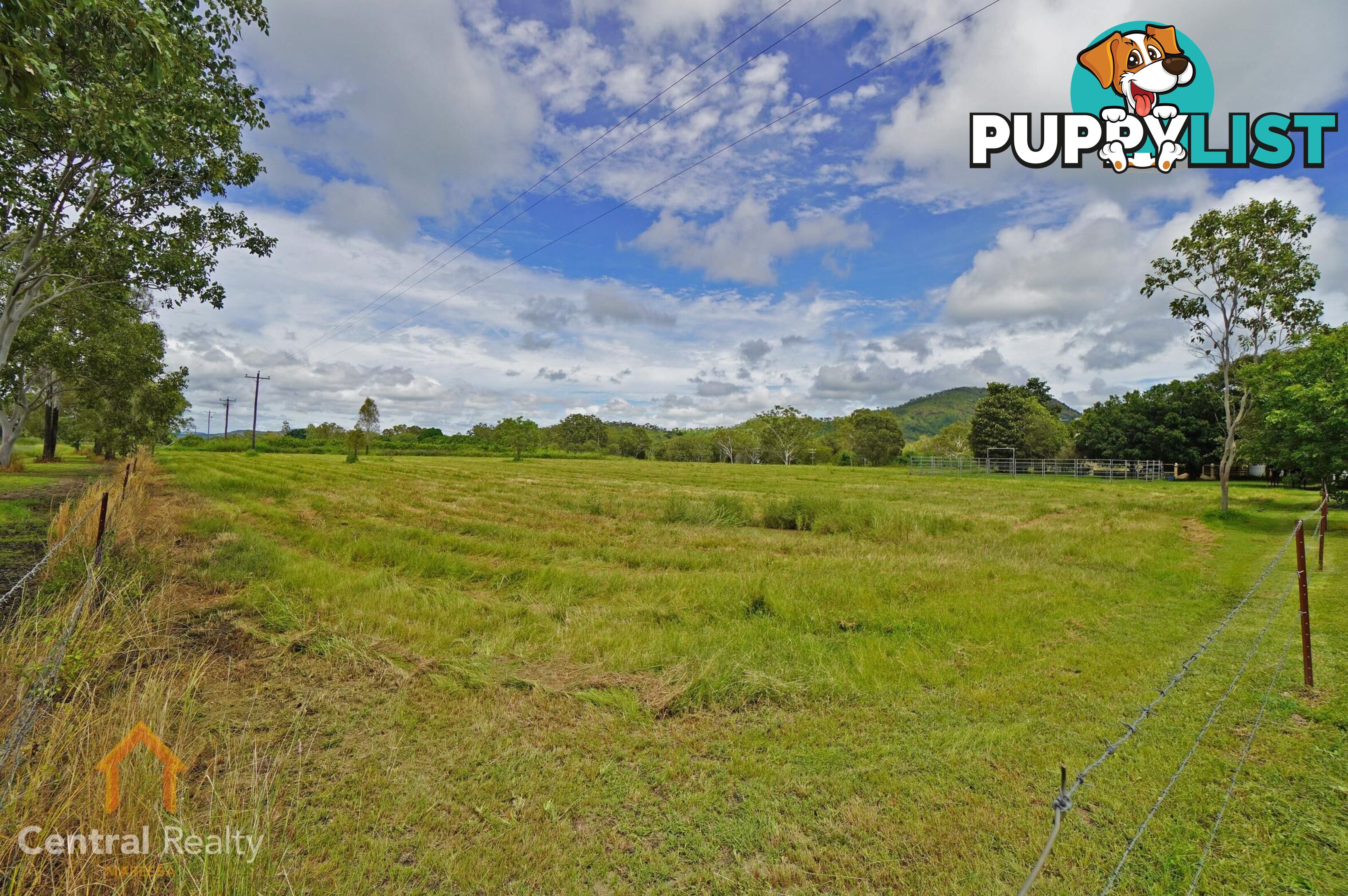 3038 Mareeba - Dimbulah Road Mutchilba QLD 4872