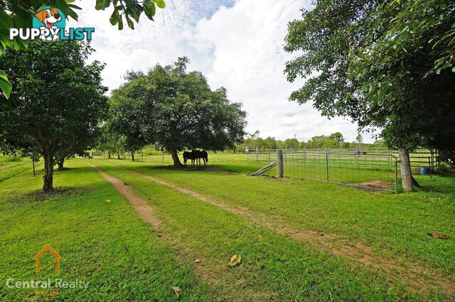 3038 Mareeba - Dimbulah Road Mutchilba QLD 4872