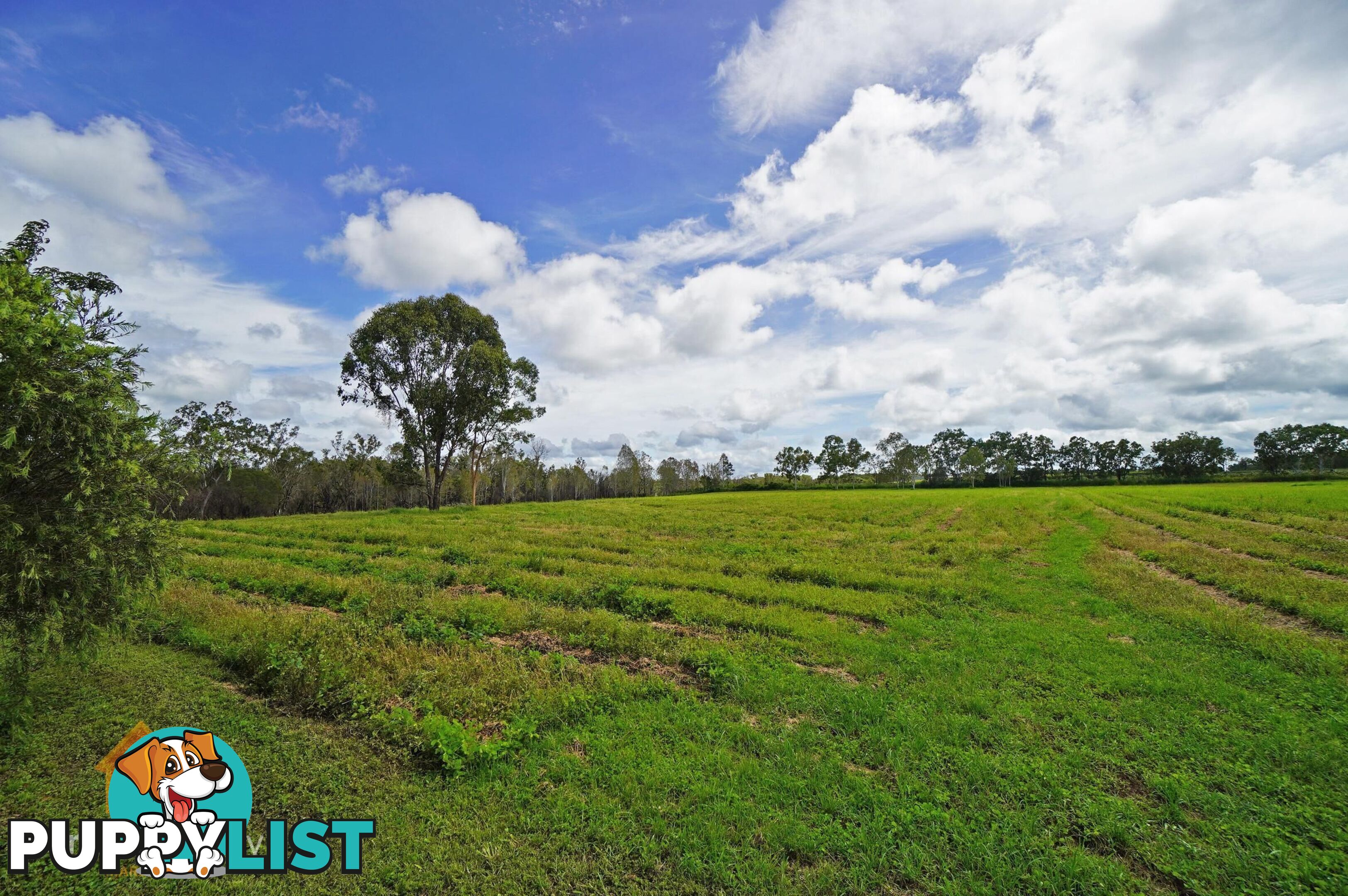 3038 Mareeba - Dimbulah Road Mutchilba QLD 4872