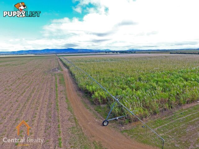 341 Mulligan Highway Mareeba QLD 4880