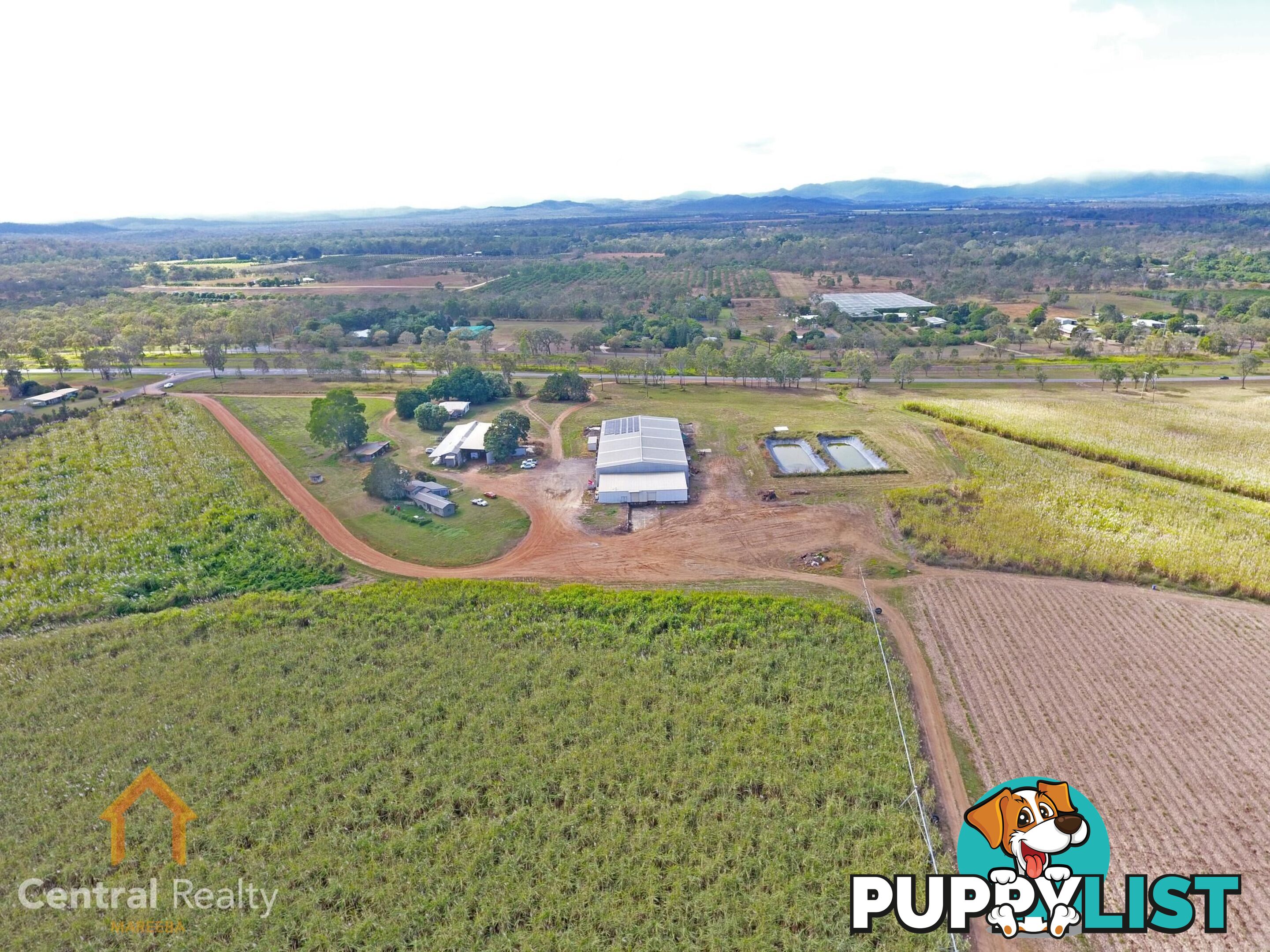 341 Mulligan Highway Mareeba QLD 4880