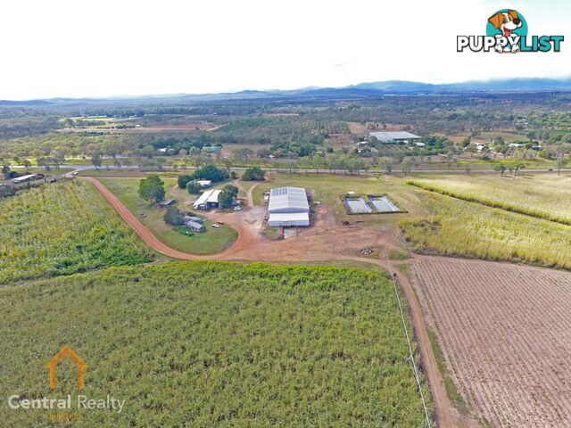 341 Mulligan Highway Mareeba QLD 4880