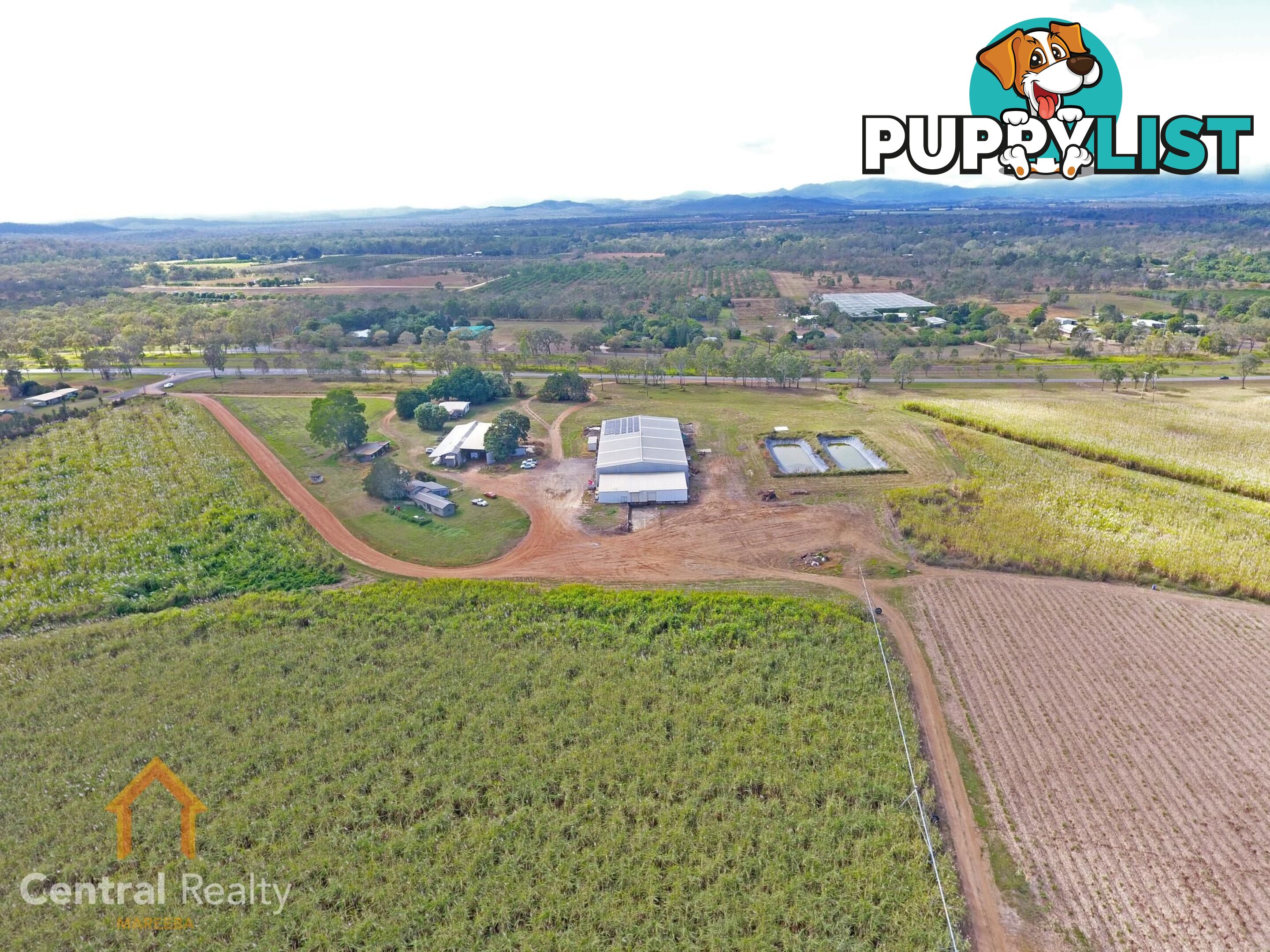 341 Mulligan Highway Mareeba QLD 4880