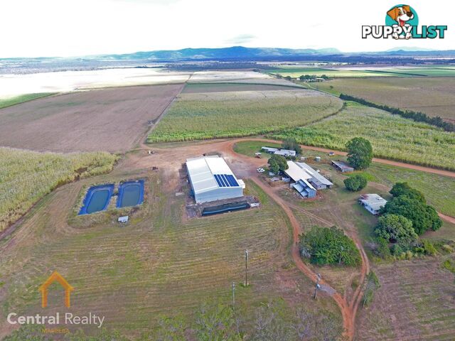 341 Mulligan Highway Mareeba QLD 4880