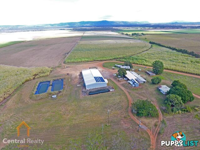 341 Mulligan Highway Mareeba QLD 4880