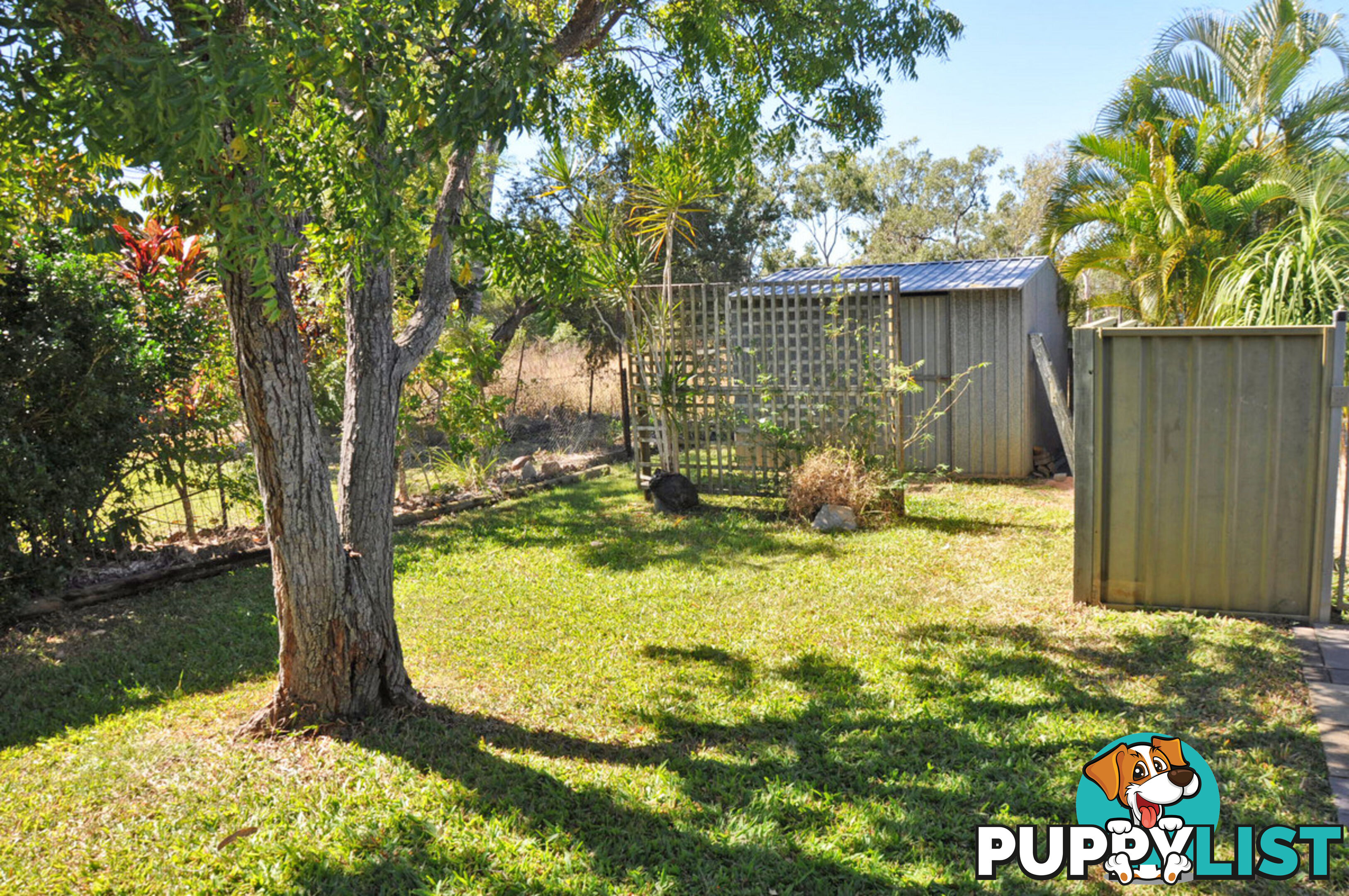 33 Martin Avenue Mareeba QLD 4880