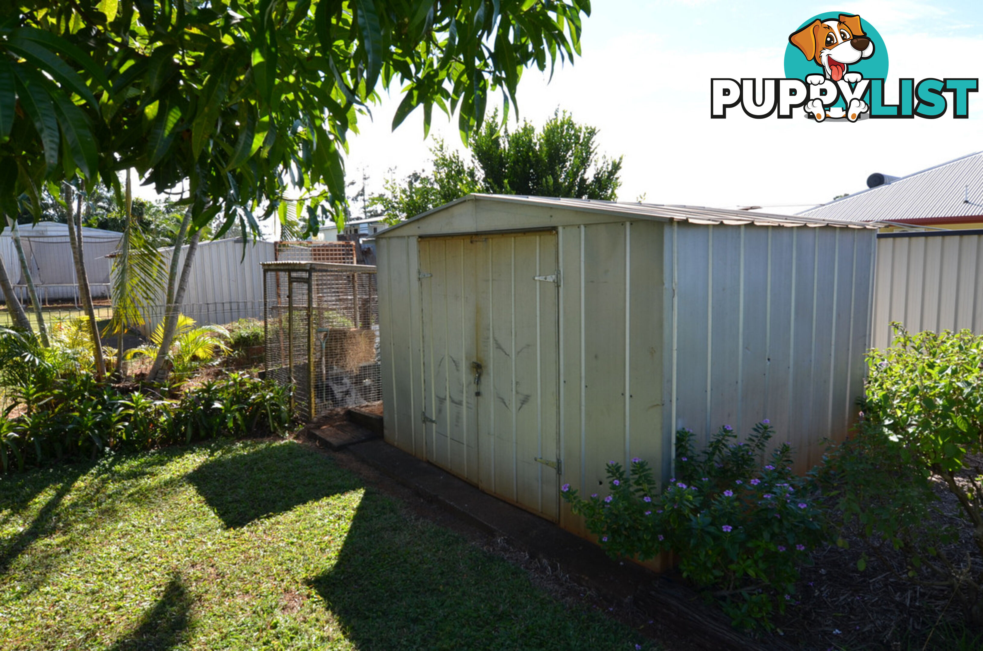 8 Haines Close Mareeba QLD 4880