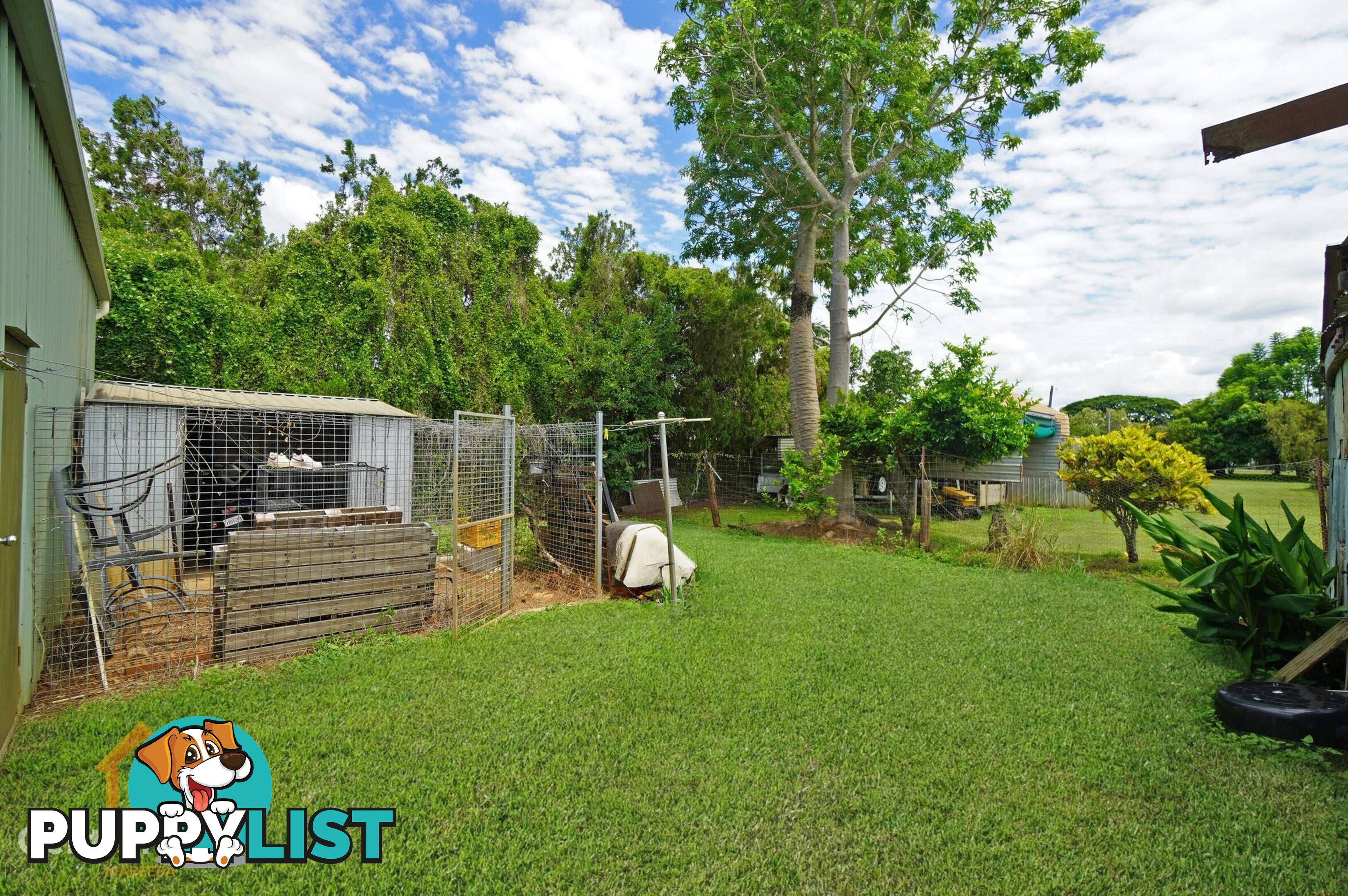 7 Iluka Street Mareeba QLD 4880