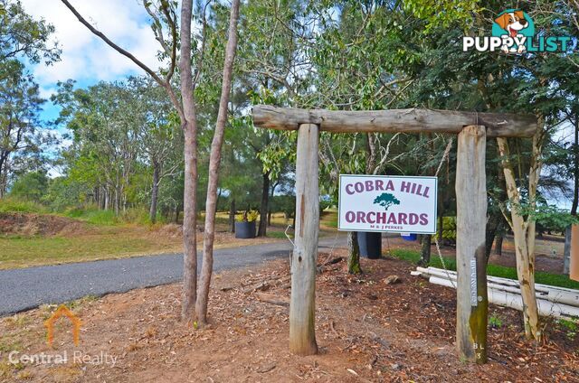 50 Cobra Road Mareeba QLD 4880