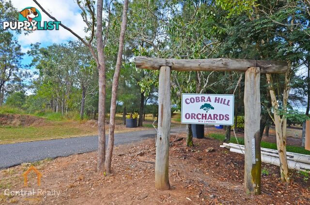 50 Cobra Road Mareeba QLD 4880