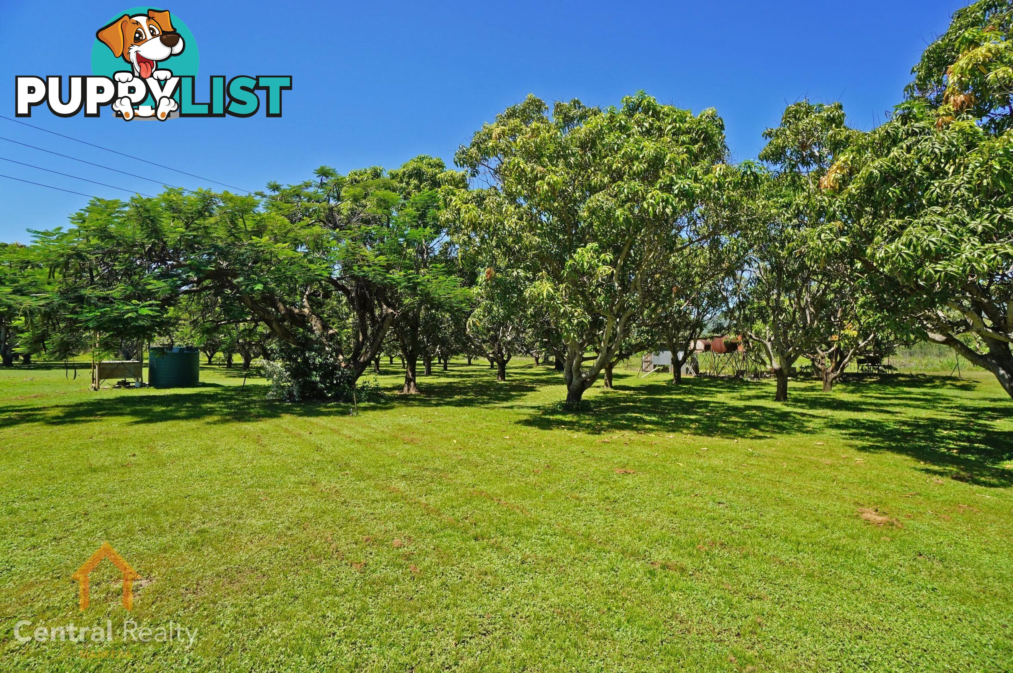 33 Stock Road Dimbulah QLD 4872