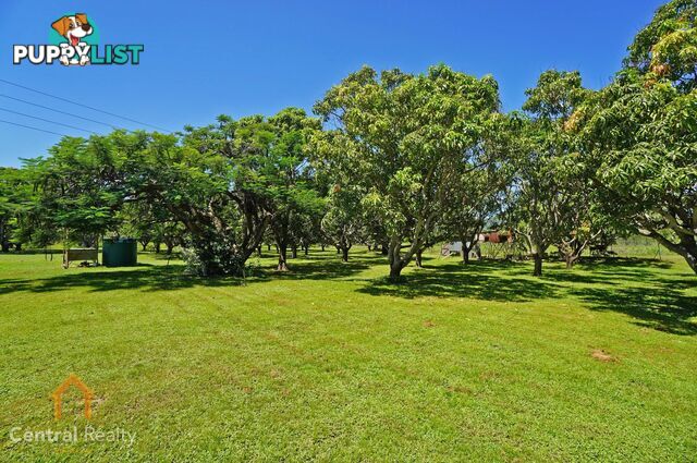 33 Stock Road Dimbulah QLD 4872