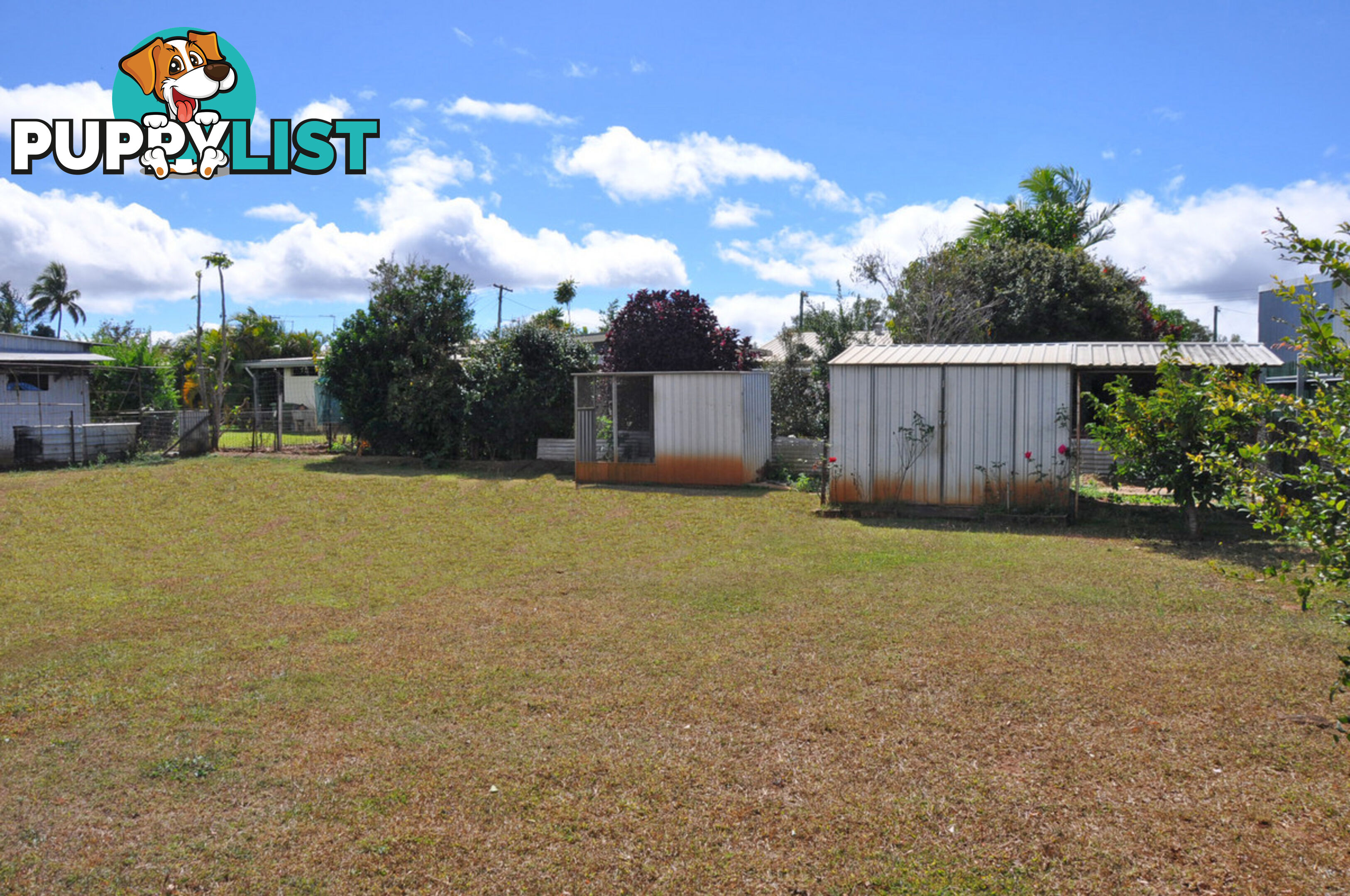 13 Foulis Street Mareeba QLD 4880