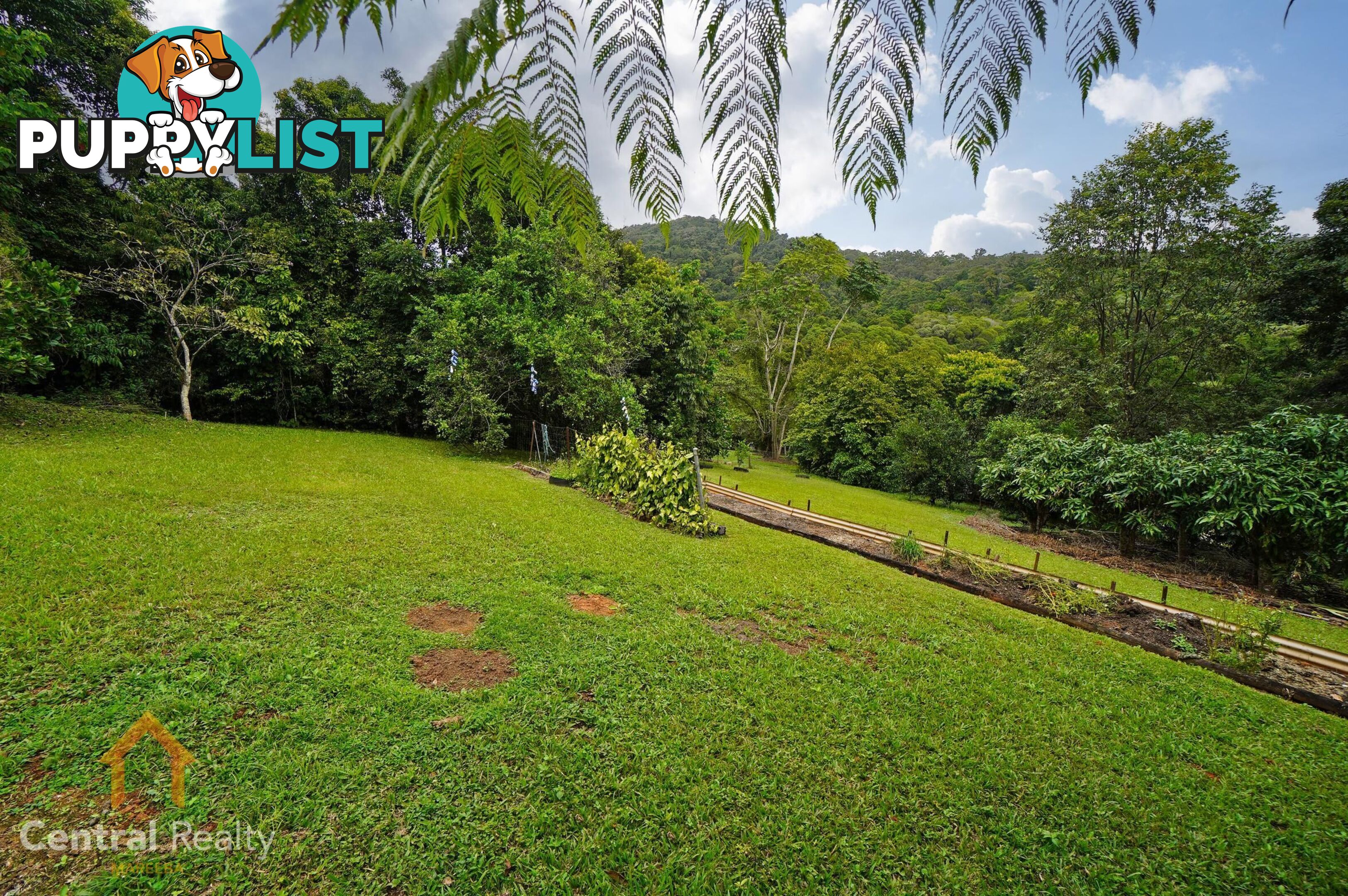 16 Williamson Drive Kuranda QLD 4881