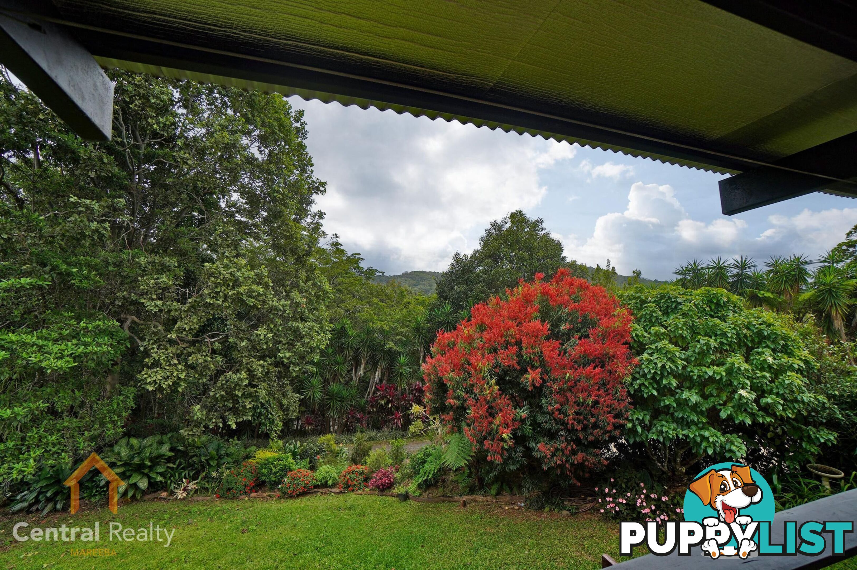 16 Williamson Drive Kuranda QLD 4881