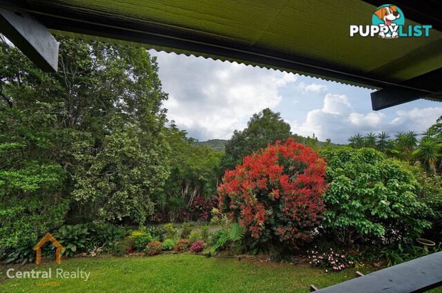 16 Williamson Drive Kuranda QLD 4881