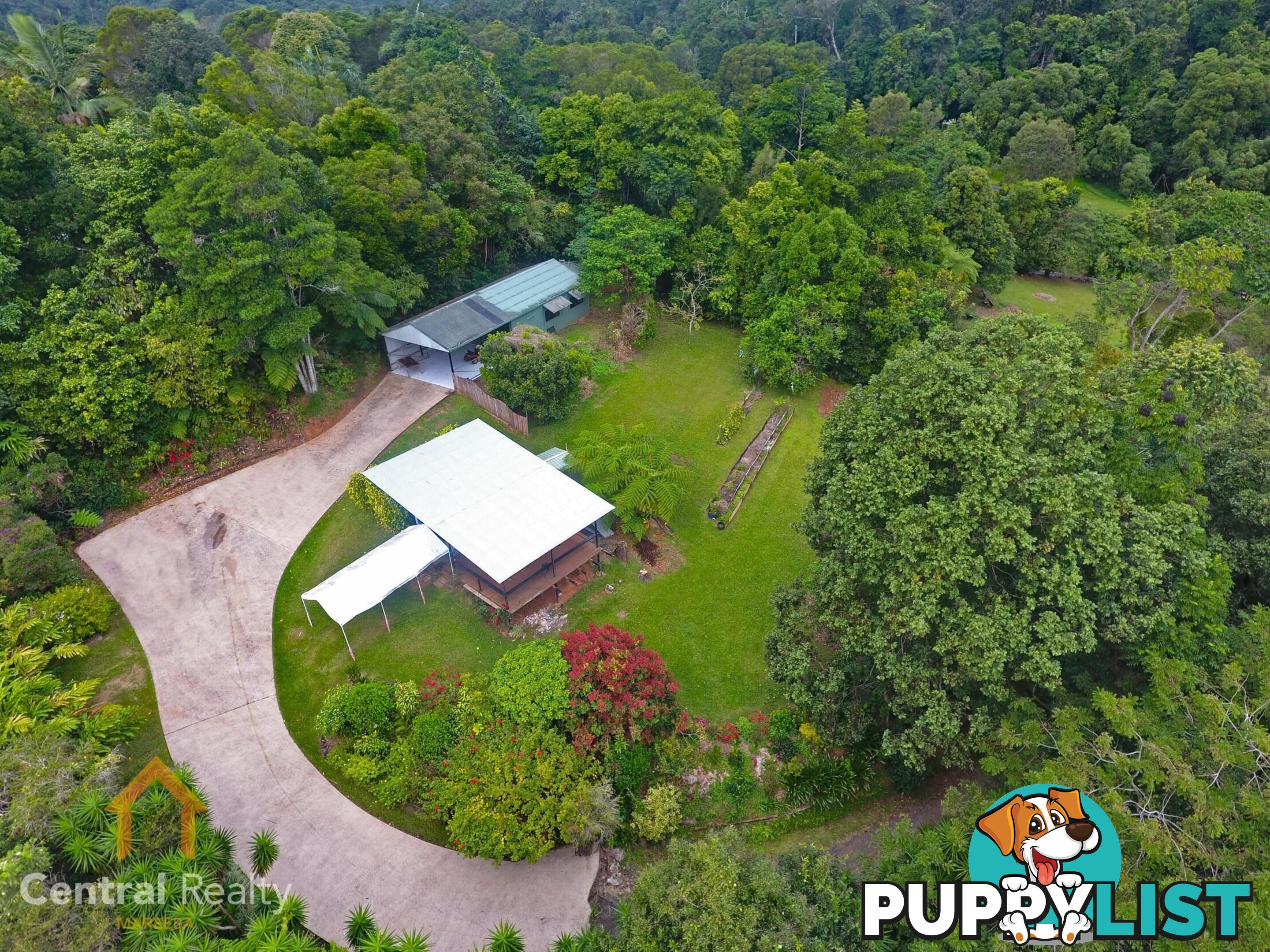 16 Williamson Drive Kuranda QLD 4881