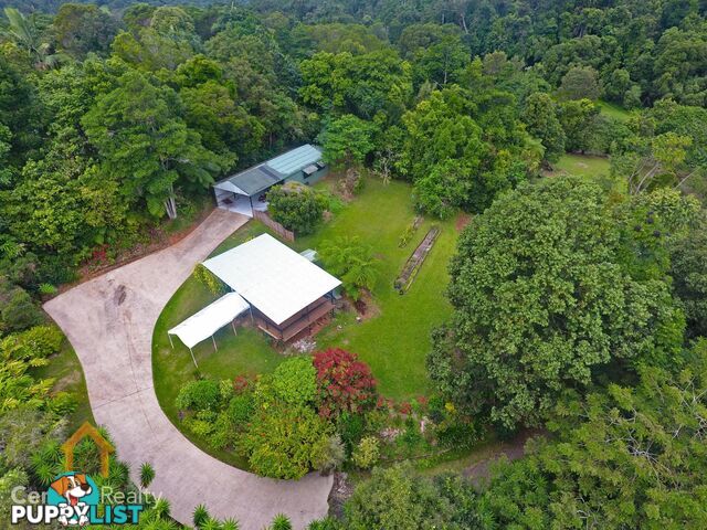 16 Williamson Drive Kuranda QLD 4881