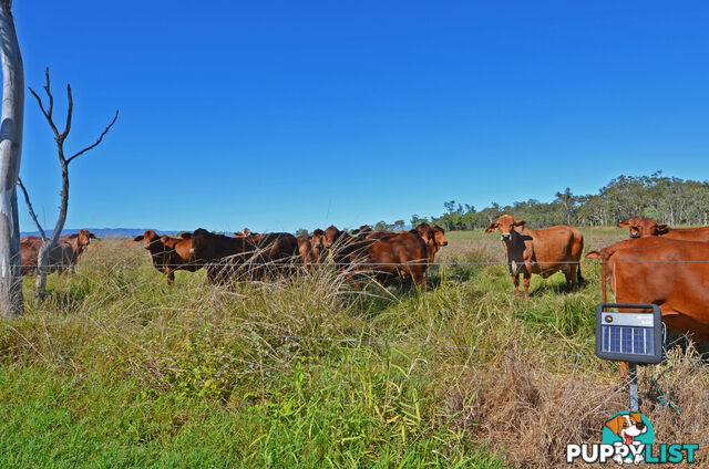 142 Pickford Road Biboohra QLD 4880