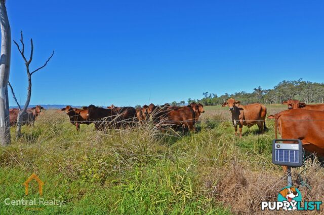 142 Pickford Road Biboohra QLD 4880