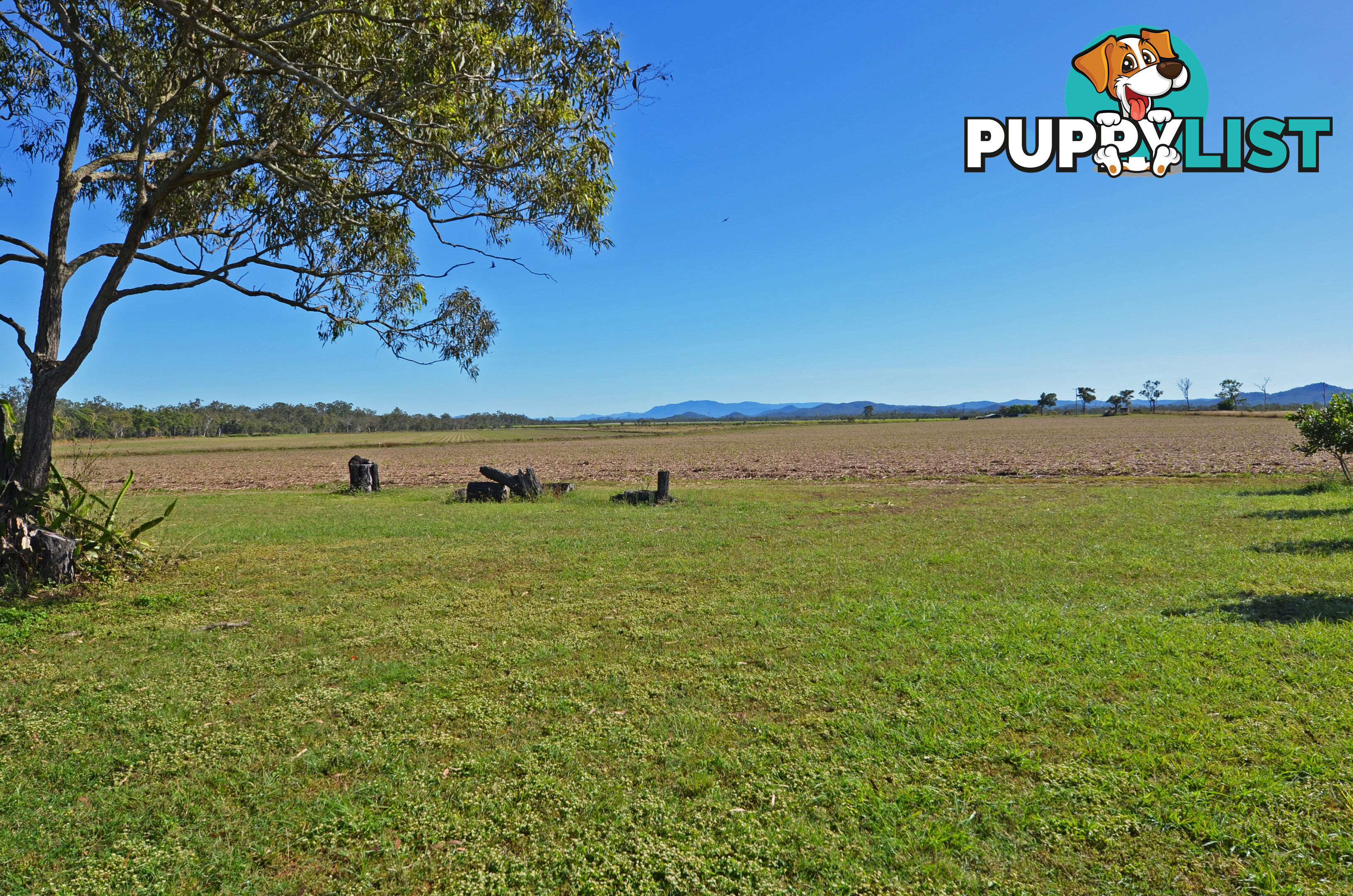 142 Pickford Road Biboohra QLD 4880