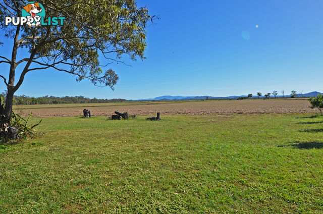 142 Pickford Road Biboohra QLD 4880