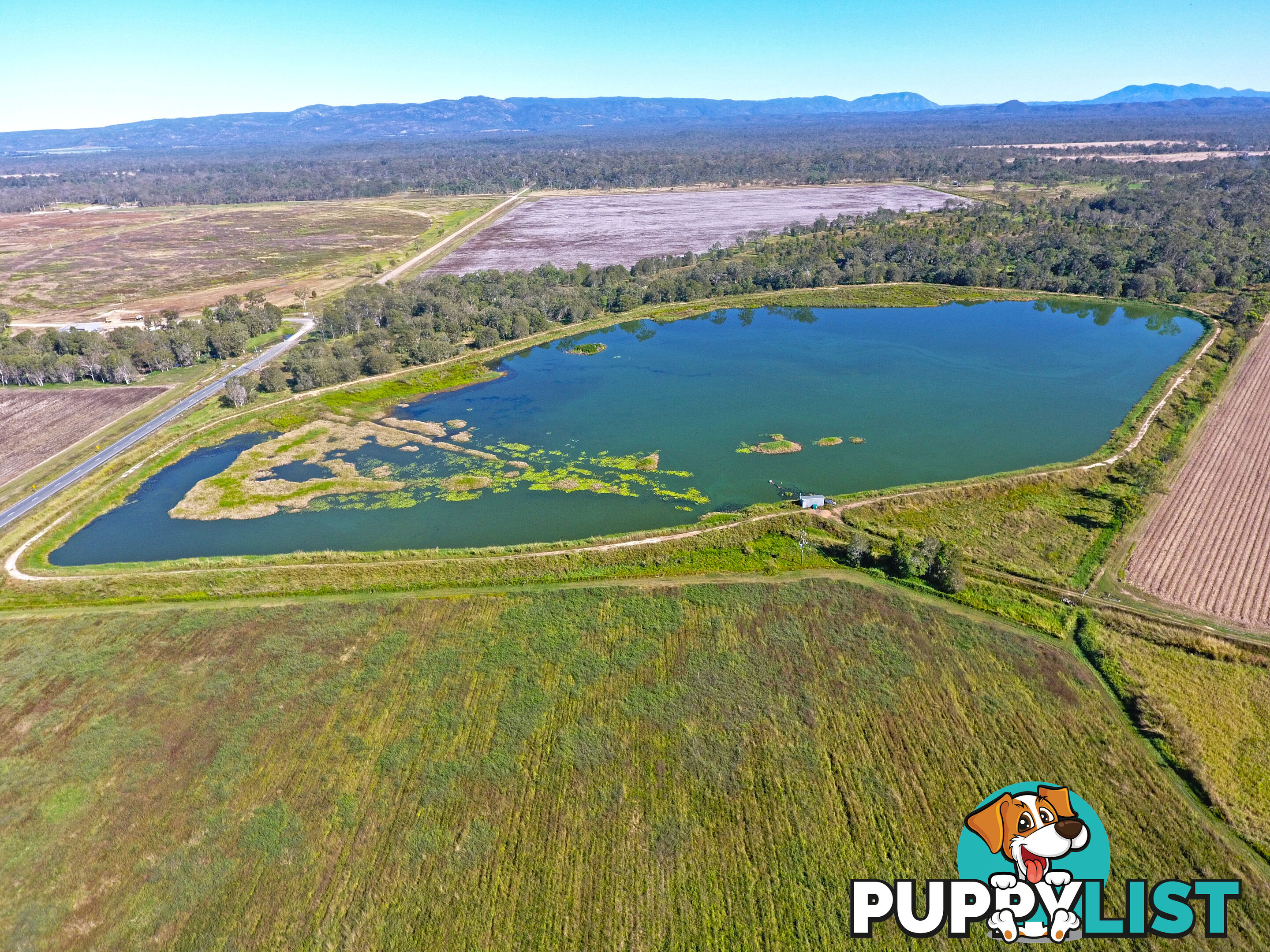 142 Pickford Road Biboohra QLD 4880