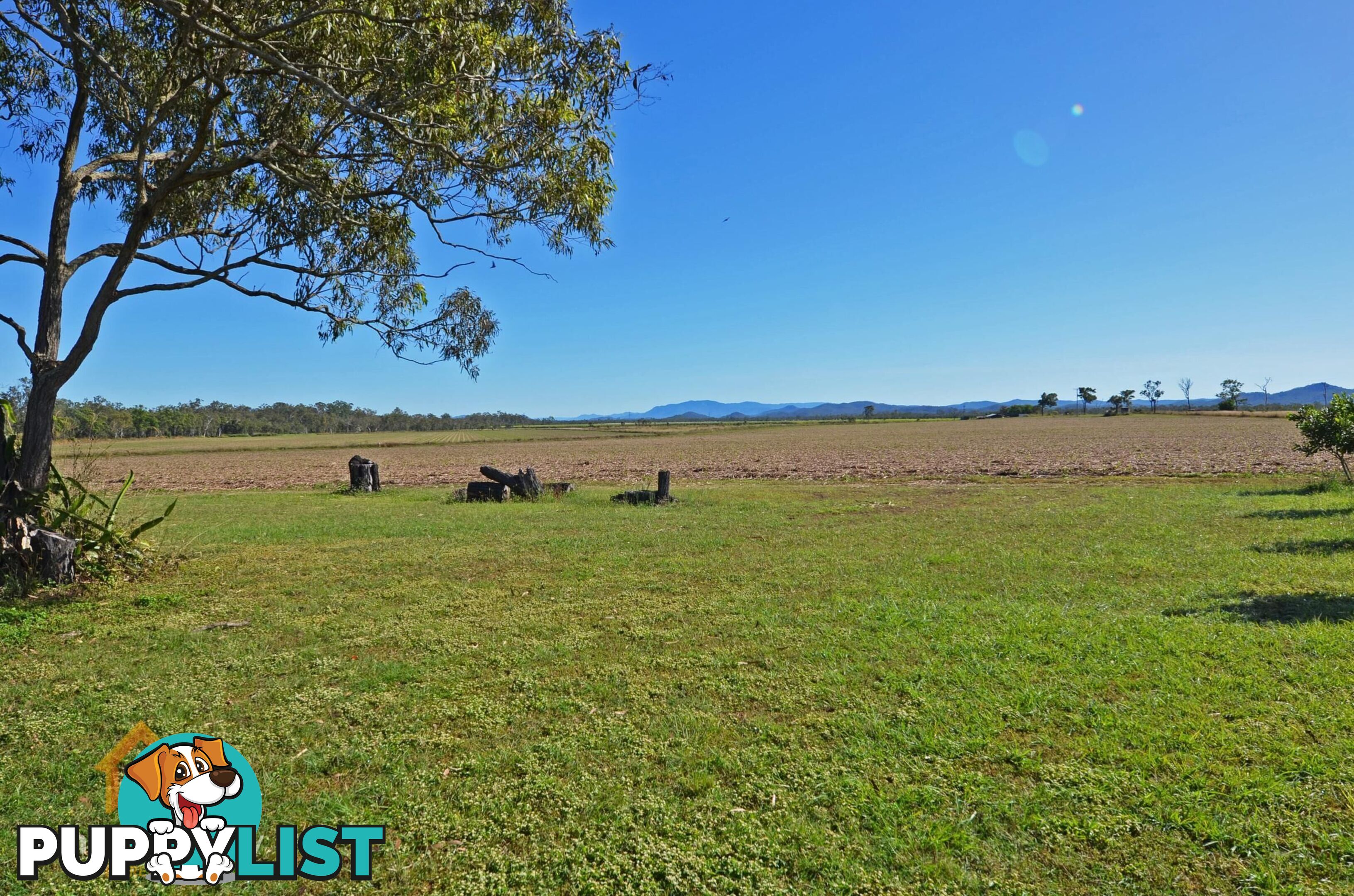 142 Pickford Road Biboohra QLD 4880