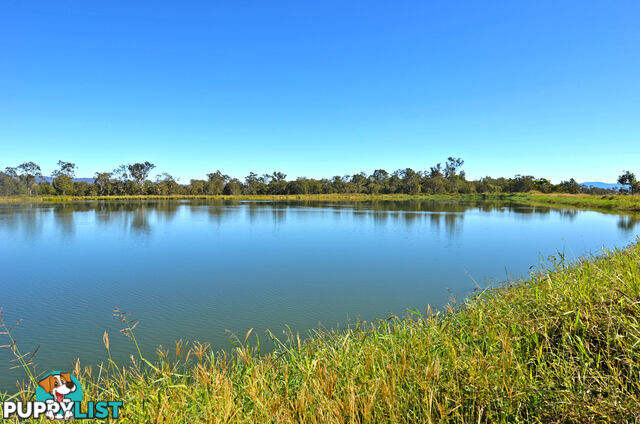 142 Pickford Road Biboohra QLD 4880