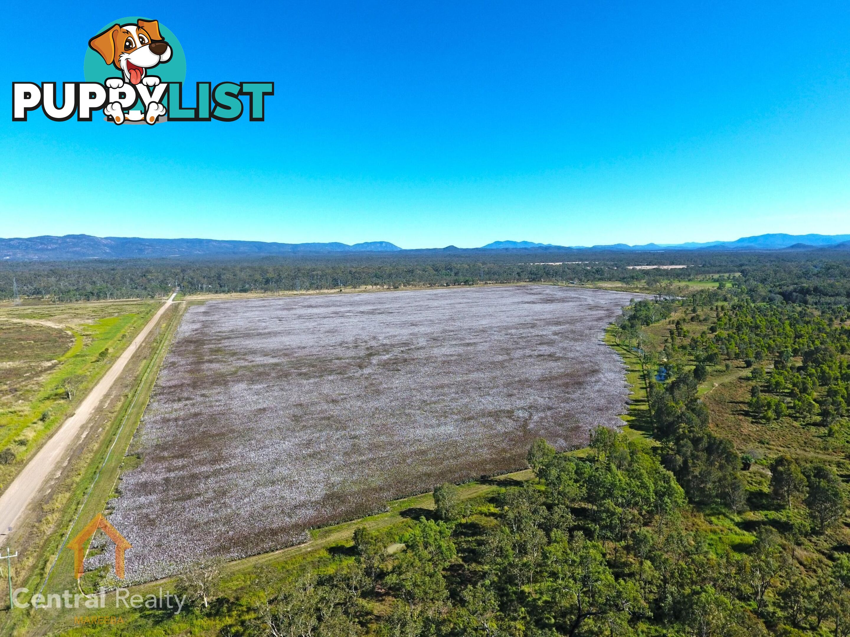 142 Pickford Road Biboohra QLD 4880