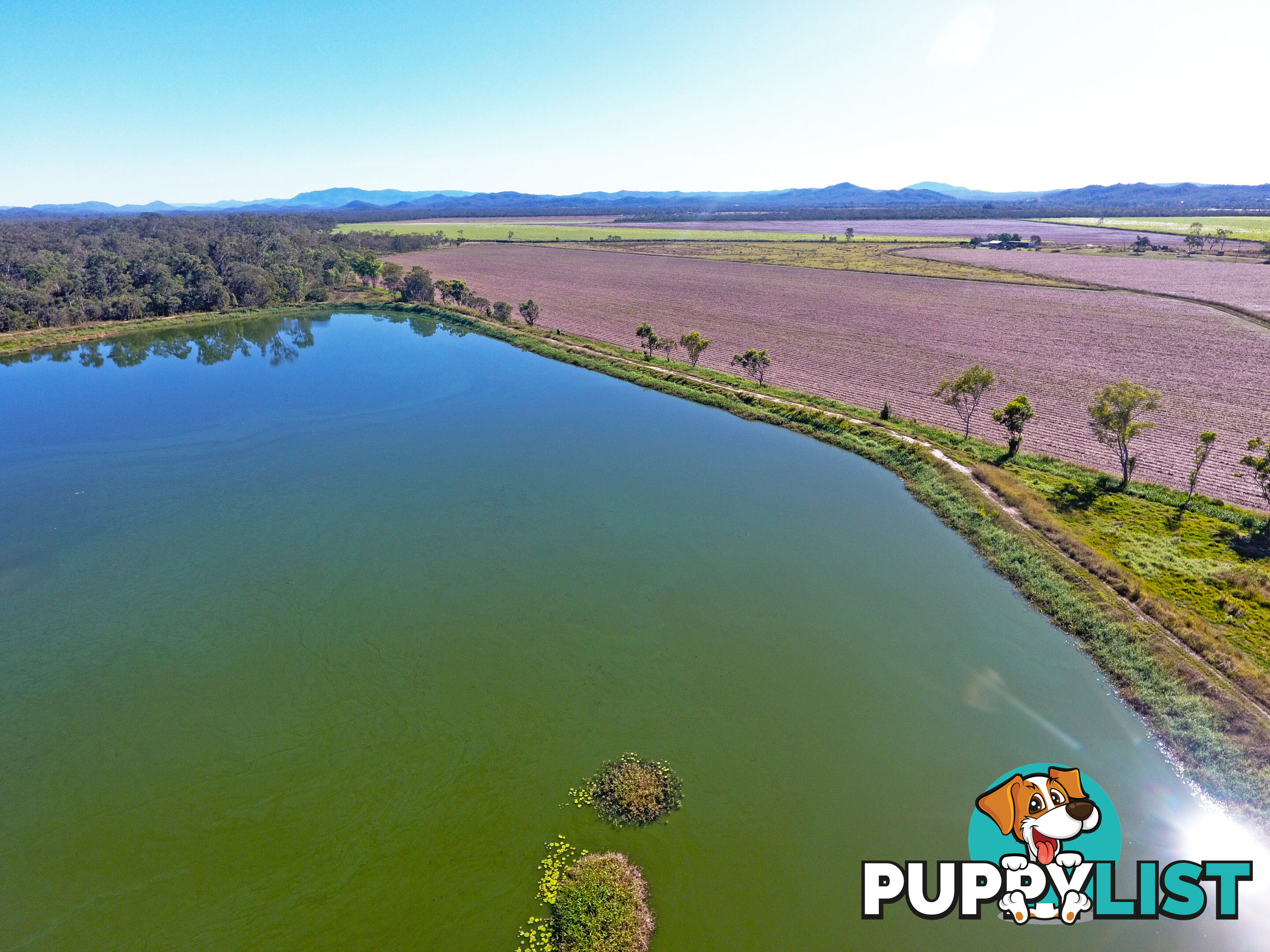 142 Pickford Road Biboohra QLD 4880