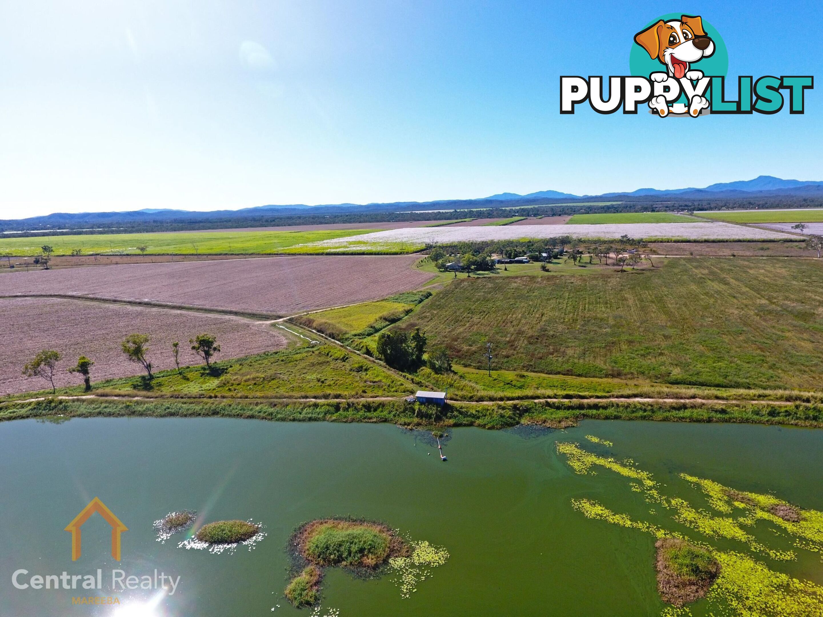 142 Pickford Road Biboohra QLD 4880