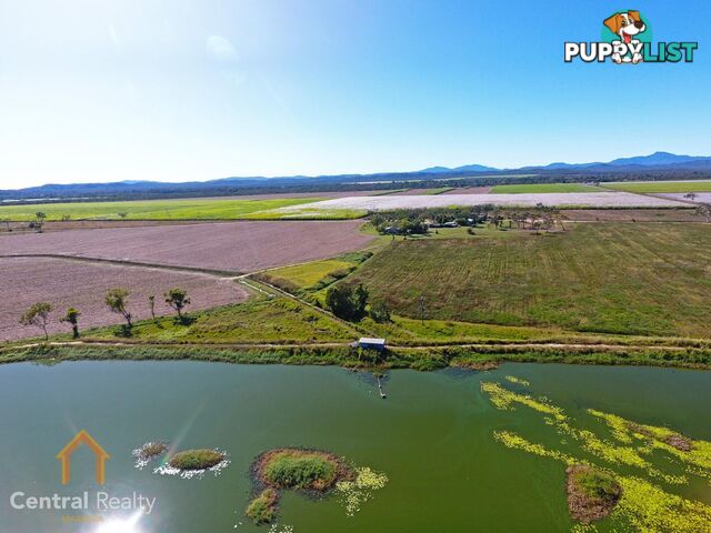 142 Pickford Road Biboohra QLD 4880