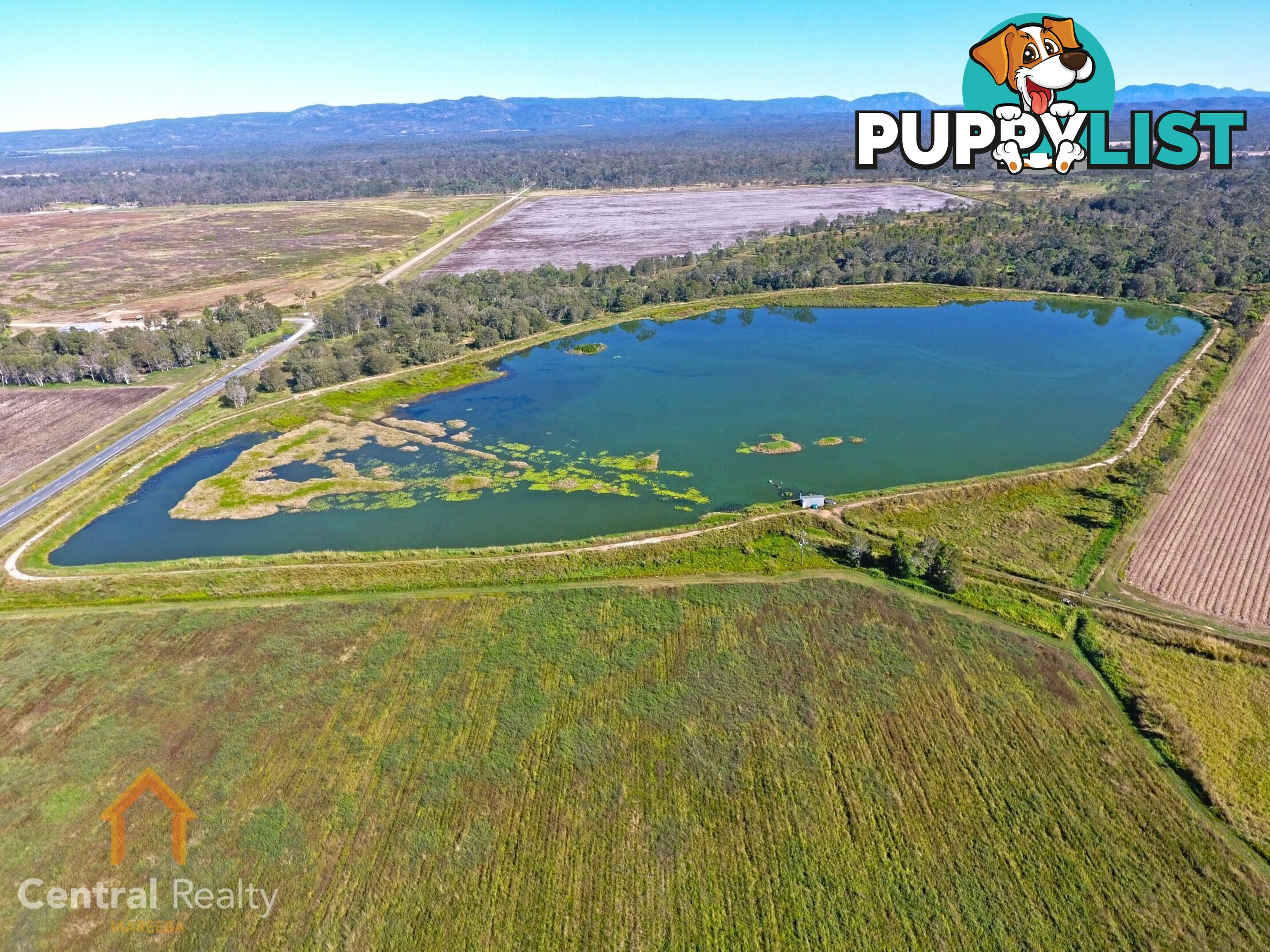 142 Pickford Road Biboohra QLD 4880