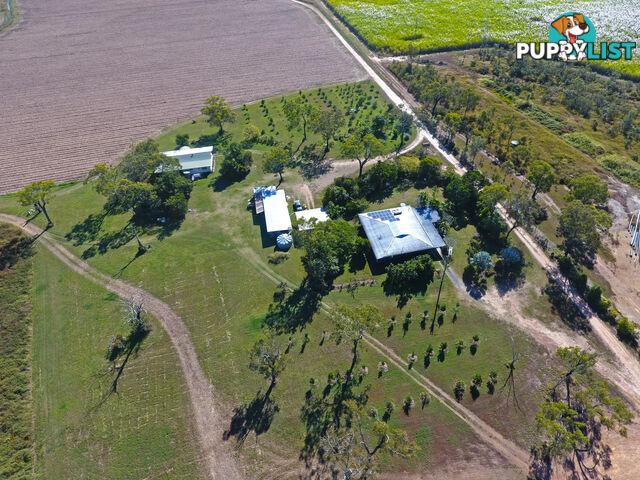 142 Pickford Road Biboohra QLD 4880