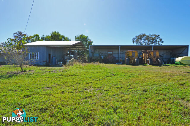 142 Pickford Road Biboohra QLD 4880