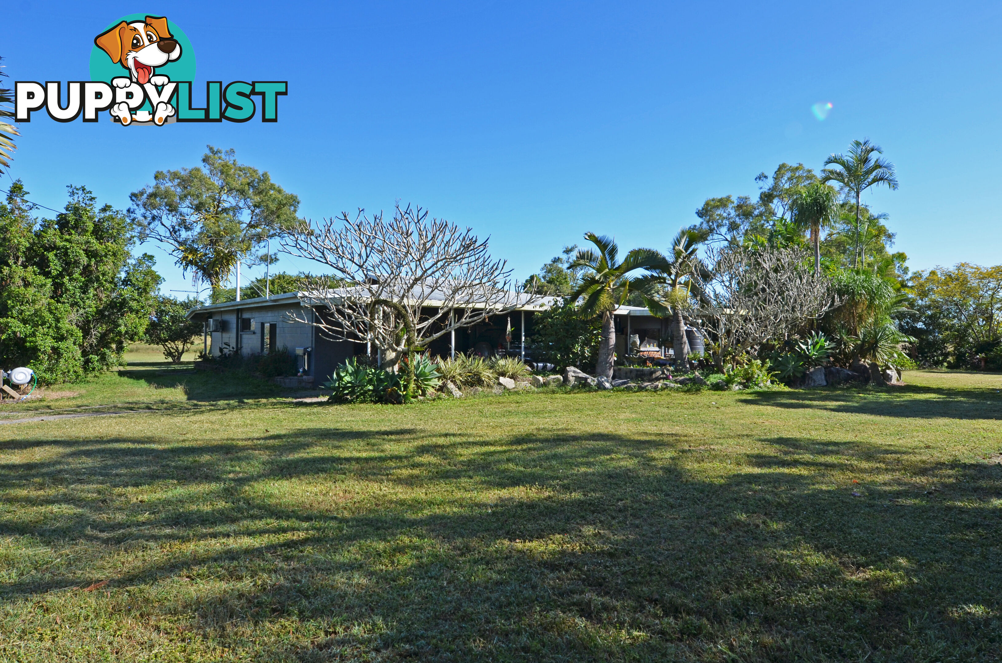 142 Pickford Road Biboohra QLD 4880