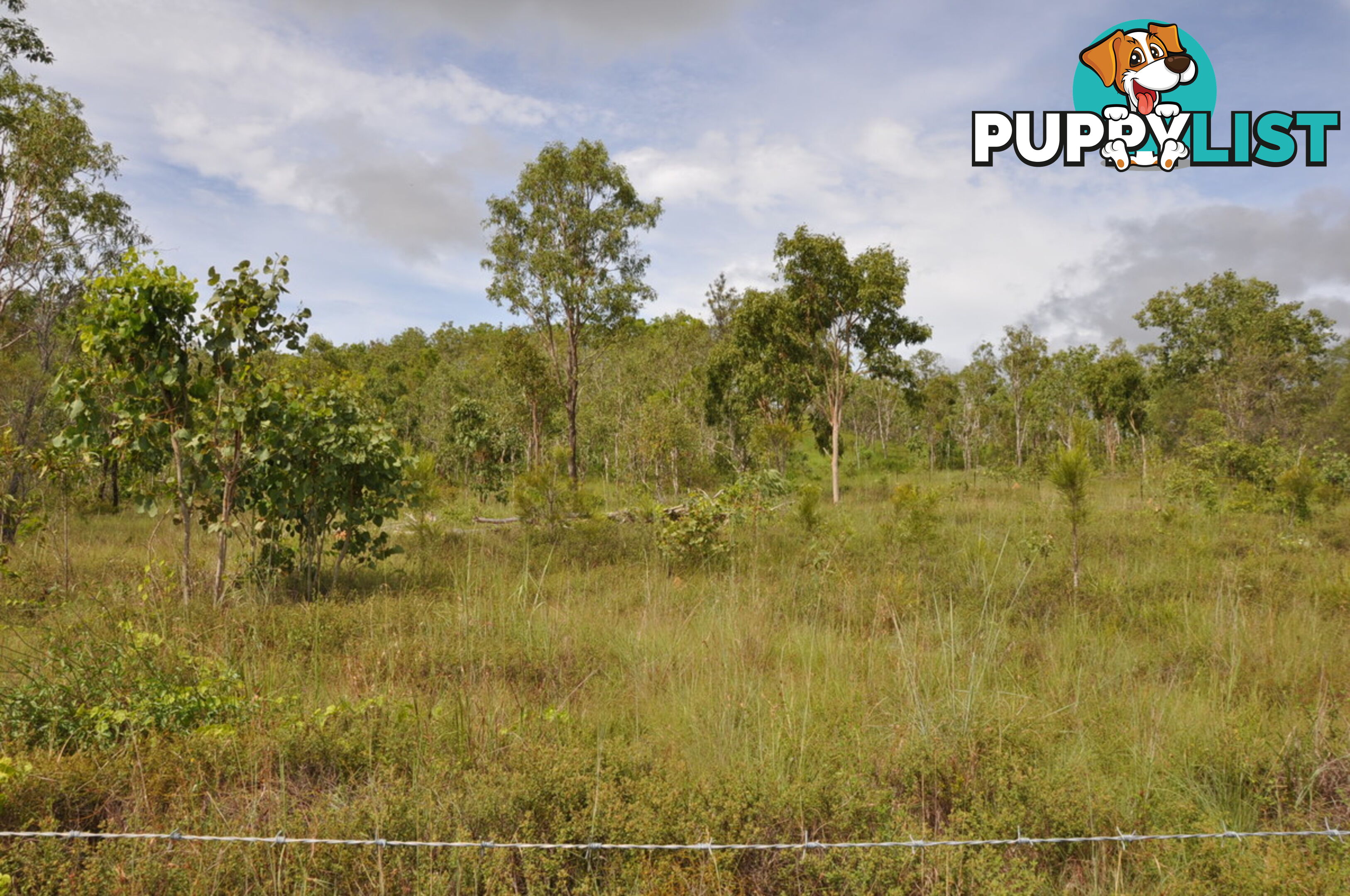 558 Bilwon Road Biboohra QLD 4880