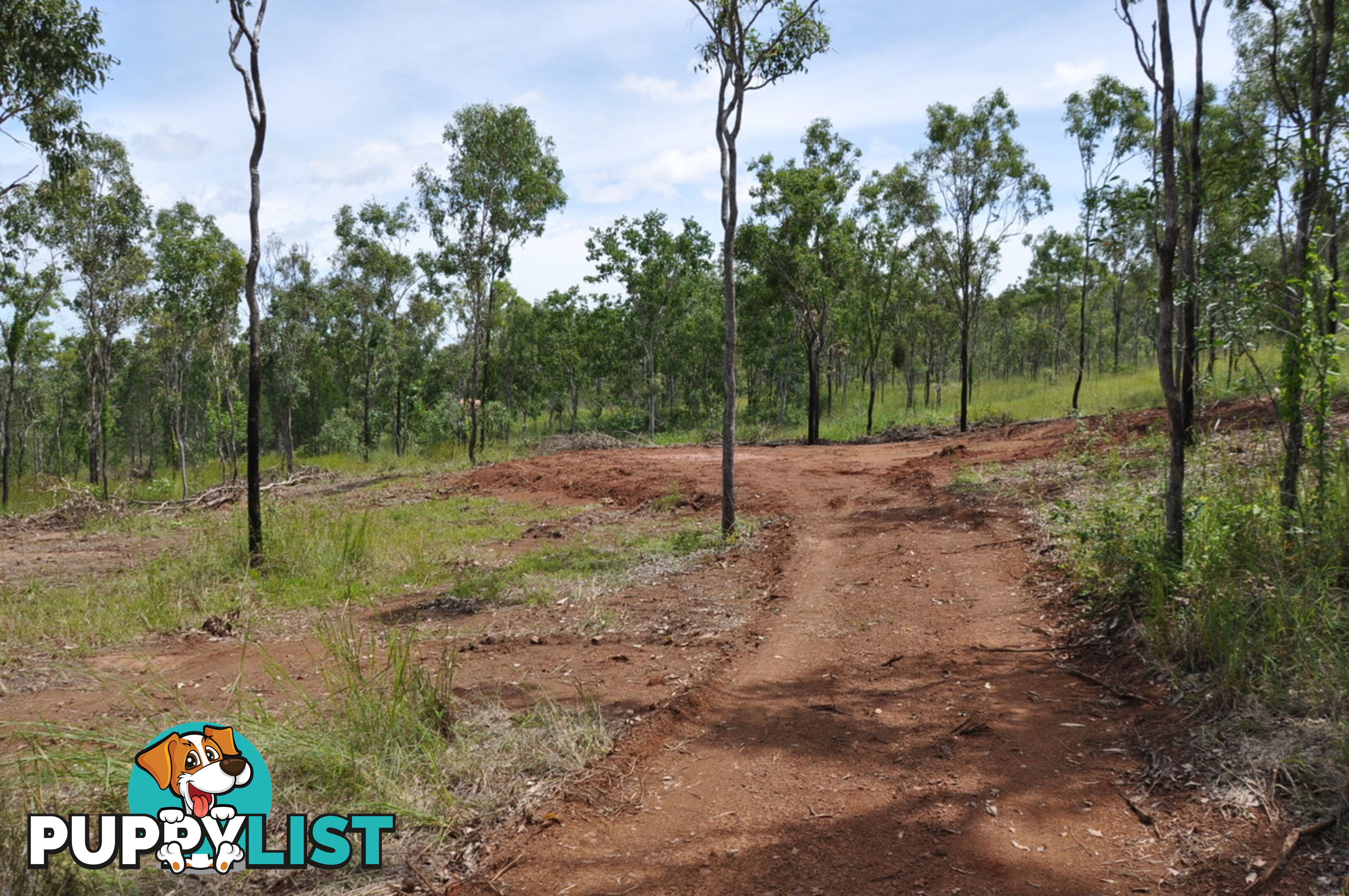 558 Bilwon Road Biboohra QLD 4880